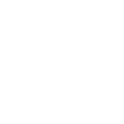 COMPANY INCORPORATION